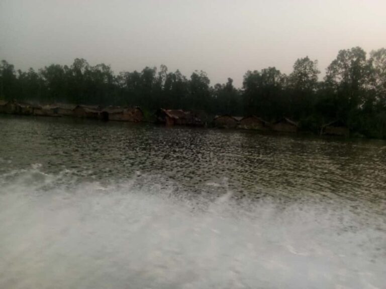 Indiscriminate Fishing, a Major Income Generating Activity within the Mangroves of Bakassi Peninsula