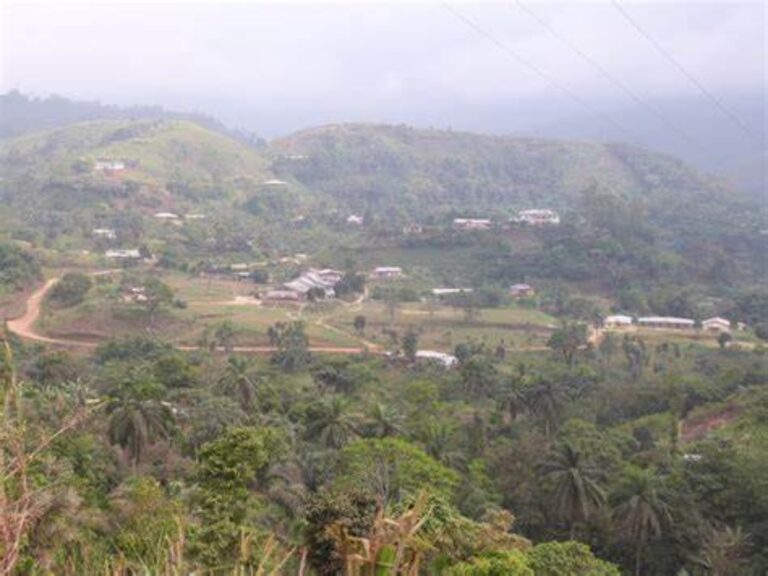 ERuDeF: Facilitating Community Development in Lebialem through the Rain Forest Trust Project