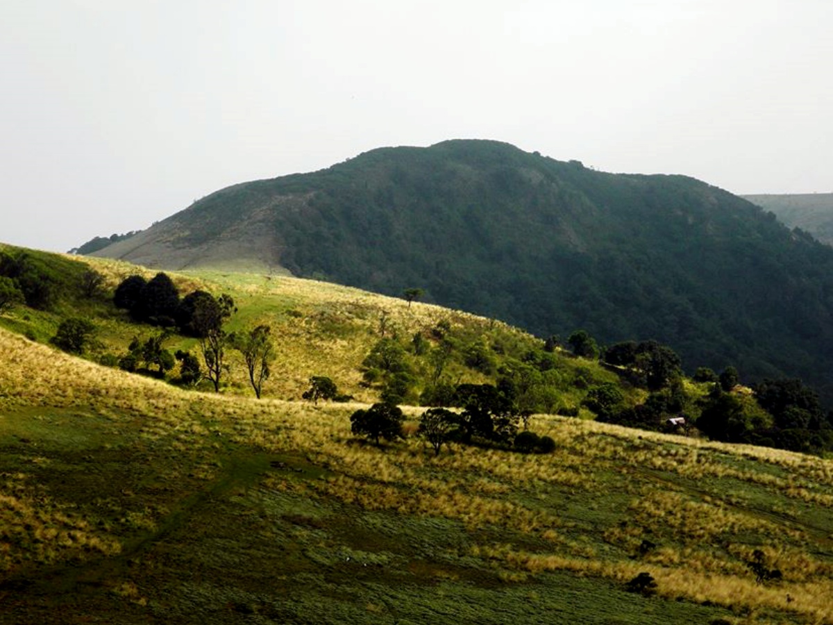 Mount Oku: A Veritable Biodiversity Hotspot