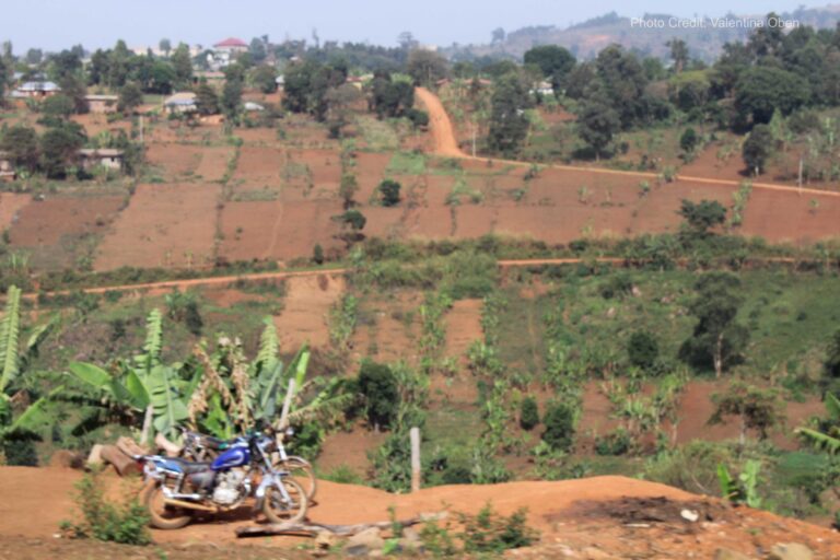 Mountains: essential ecosystems for the planet