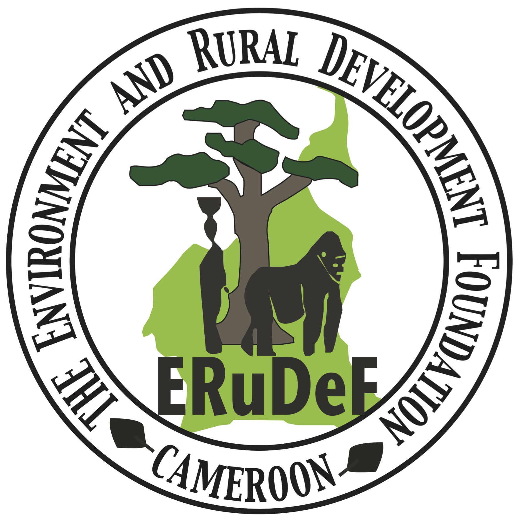 ERuDeF to create the Lebialem Highlands Cooperative Union
