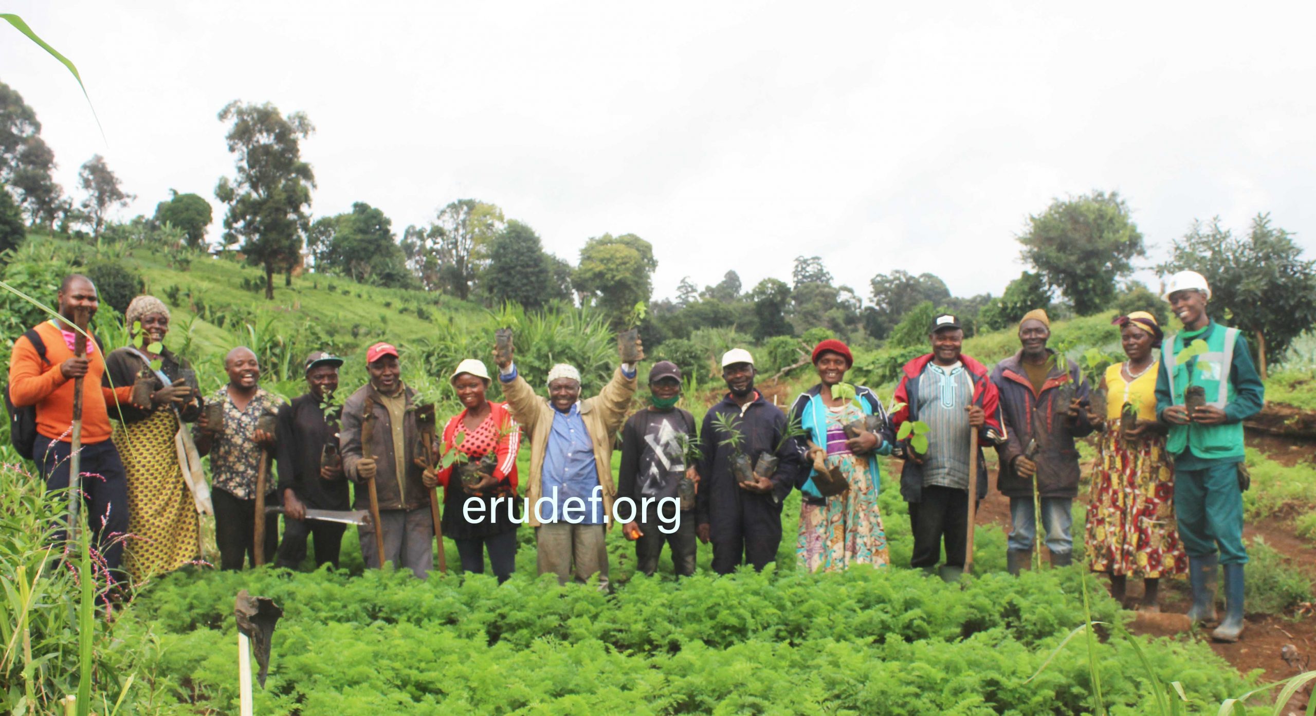 Local communities take the lead in Restoring the Mount Bamboutos ecosystem through tree planting