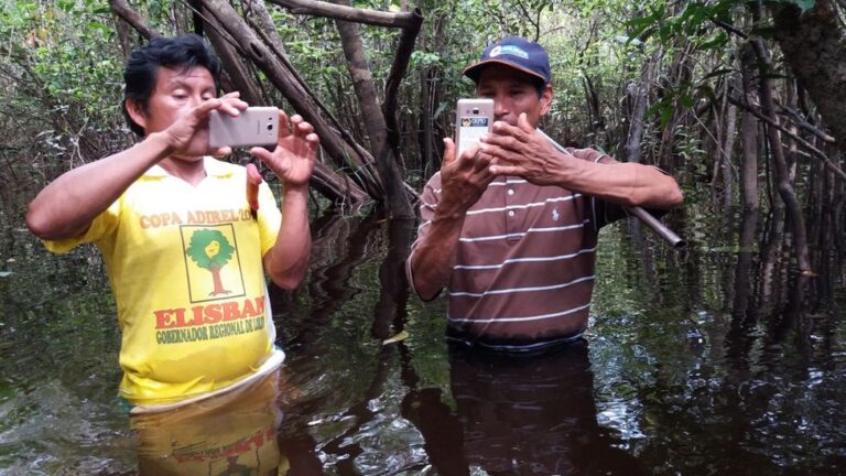 Climate change: Technology boosts efforts to curb tree loss in Amazon