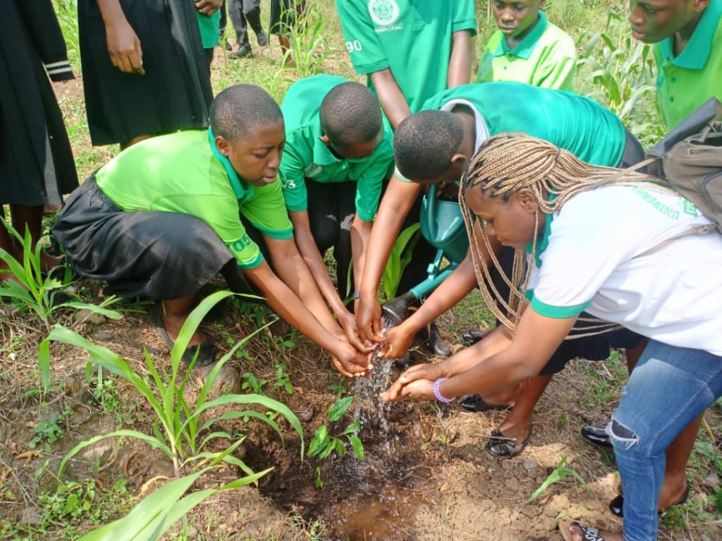 Tree-planting activity  held in schools in Buea